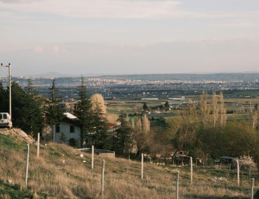 A serene countryside view with distant city skyline under a bright day sky.
